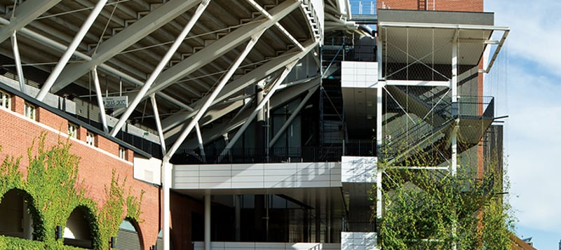 Adelaide Oval Climbing Vines
